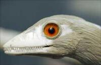 Behind the Scenes 34