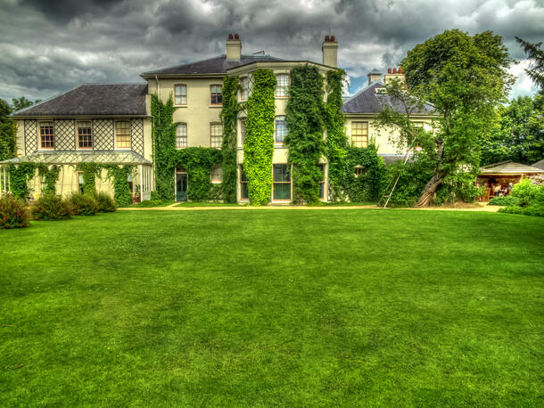 An ivy covered house with a large garden and a tree outside.