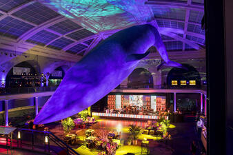 The Milstein Hall of Ocean Life at the American Museum of Natural History with tables and sitting areas added for a cocktail reception.