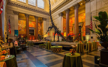 The Theodore Roosevelt Rotunda at the American Museum of Natural History with tables and sitting areas added for a cocktail reception.
