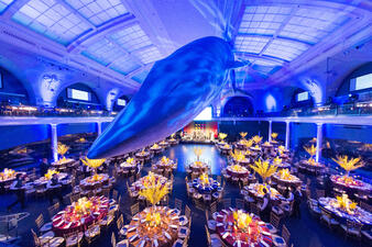 The Milstein Hall of Ocean Life of the American Museum of Natural History arranged with tables and chairs in preparation for a corporate dinner.