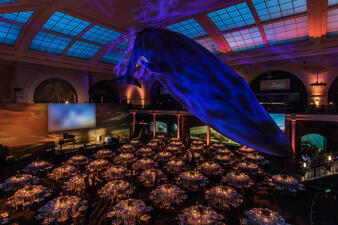Milstein Hall of Ocean Life is shown prepared for a corporate dinner with special lighting, digital screens and dining tables.