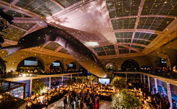 The Milstein Hall of Ocean Life is dramatically lit, and guests mingle beneath the giant Blue Whale for a wedding or social celebration at the Museum.