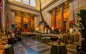 A private event in the Museum's Theodore Roosevelt Rotunda, its walls awash in colorful shades of light, with small guest tables placed throughout.