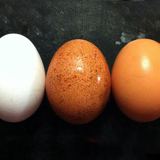 Three eggs, each displaying a different color.