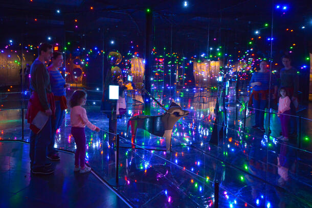 Three guests (two adults, one child) stand in the light room in The Secret World Inside You exhibit, a dark, mirror-filled room with colorful lights.