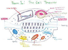 Agricultural Genetic Engineering