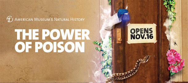 The Power of Poison Ad Art No Copy