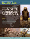 Hall of North American Mammals Educator thumb