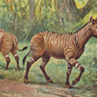 A painting representing two prehistoric horses with brown body markings in an area with green foliage.