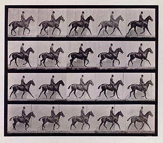 Stills of a man on horseback showing the progression of the horse's gait