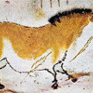 An image of a dun horse from the cave paintings at Lascaux.