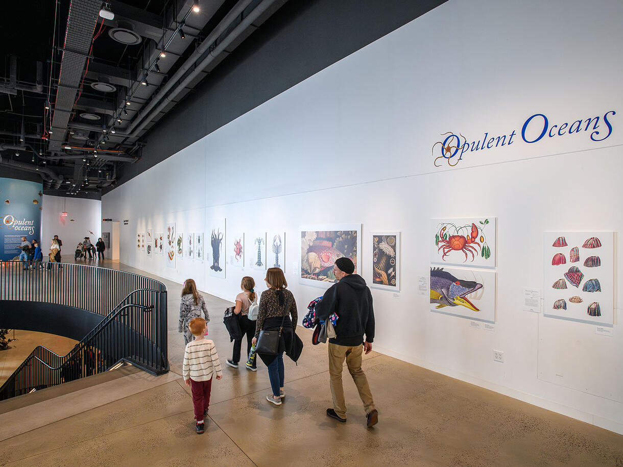 Museum visitors enter an open walkway that has a railing on the left and walls on the right that display large vintage illustrations of ocean life.