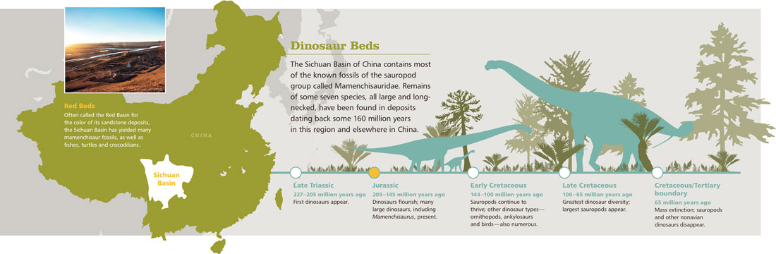 A graphic timeline from the Late Triassic to the Late Cretaceous/Tertiary periods, with simple images in silhouette of sauropod dinosaurs and vegetation. Also shown is an outline image of China containing a smaller outline of the Sichuan Basin within.