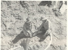 Two people wearing field attire and sitting on the ground in a  rocky excavation area.