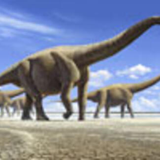 A painting of four huge sauropods with long necks and tails held aloft walking on a flat barren plain beneath a clear sky.