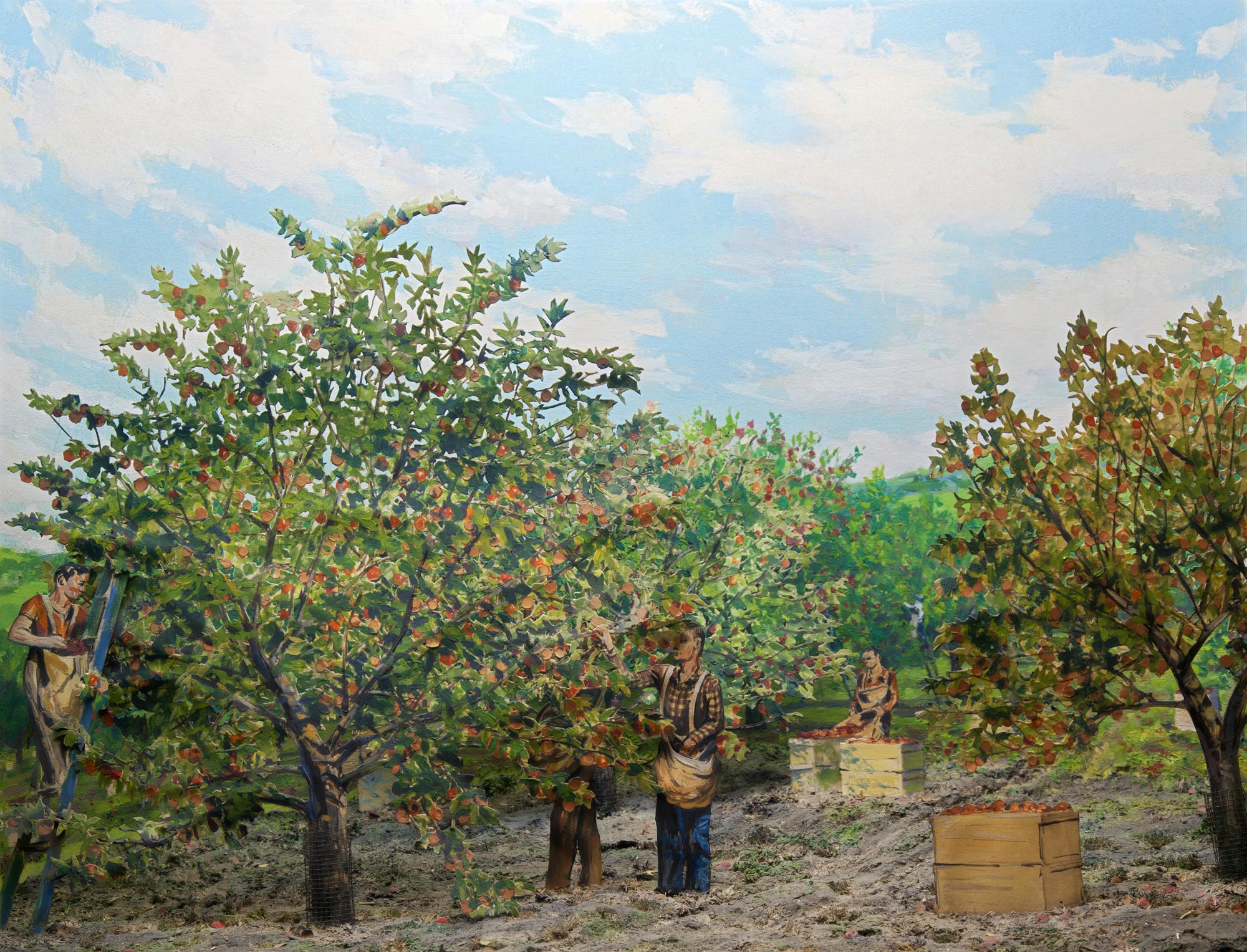 Diorama showing the harvest of an apple orchard.