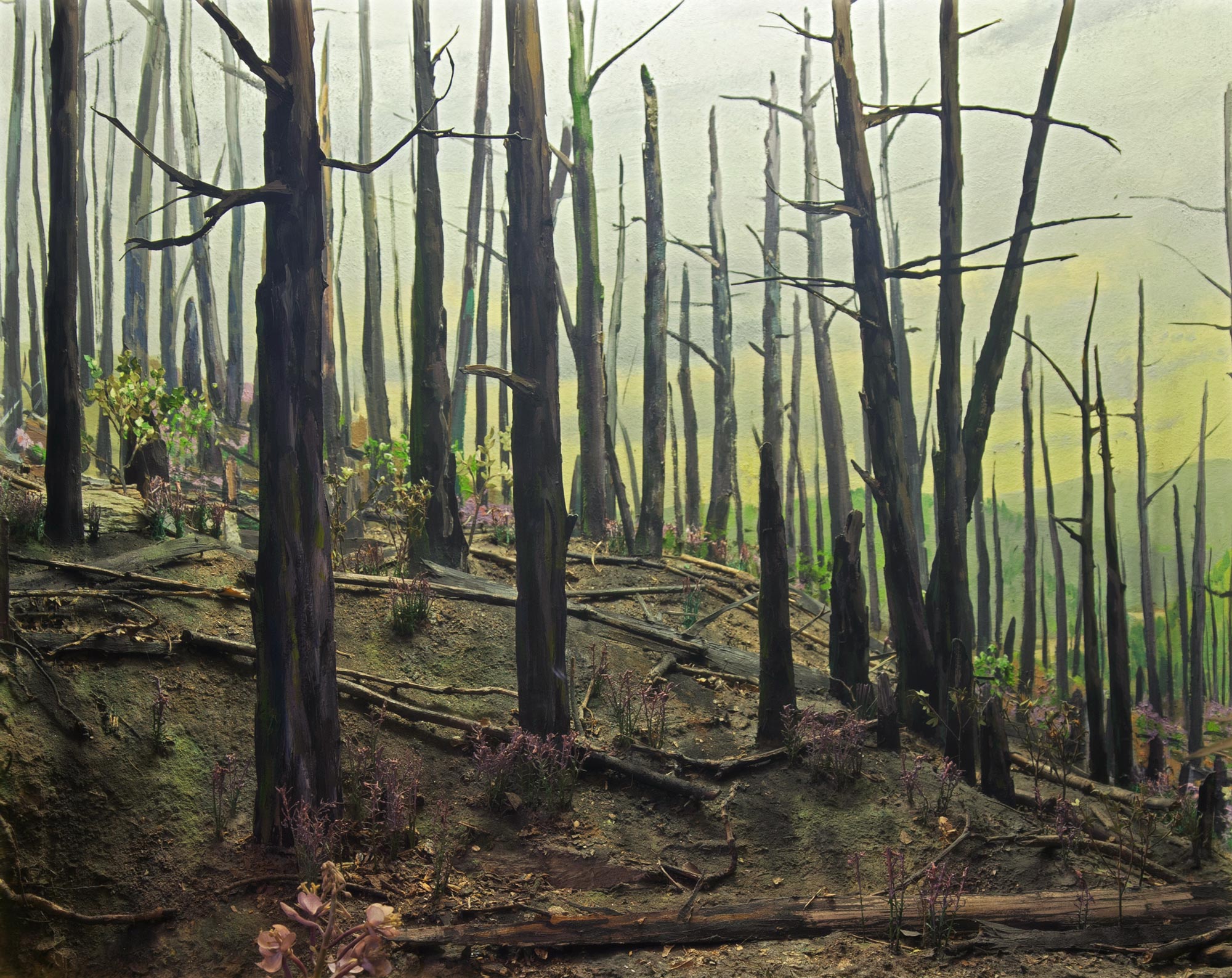 Diorama showing a forest after a fire.
