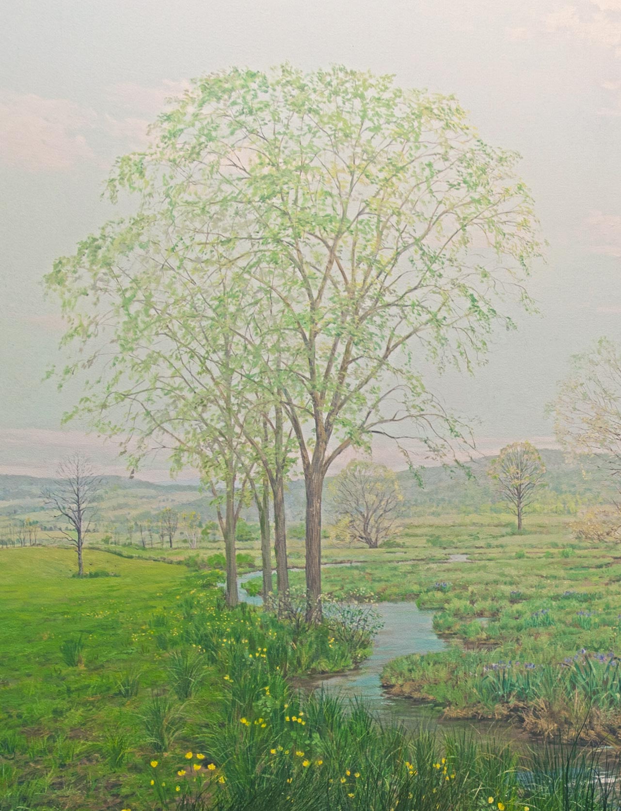 Section of a painting in the back of a diorama showing an American elm