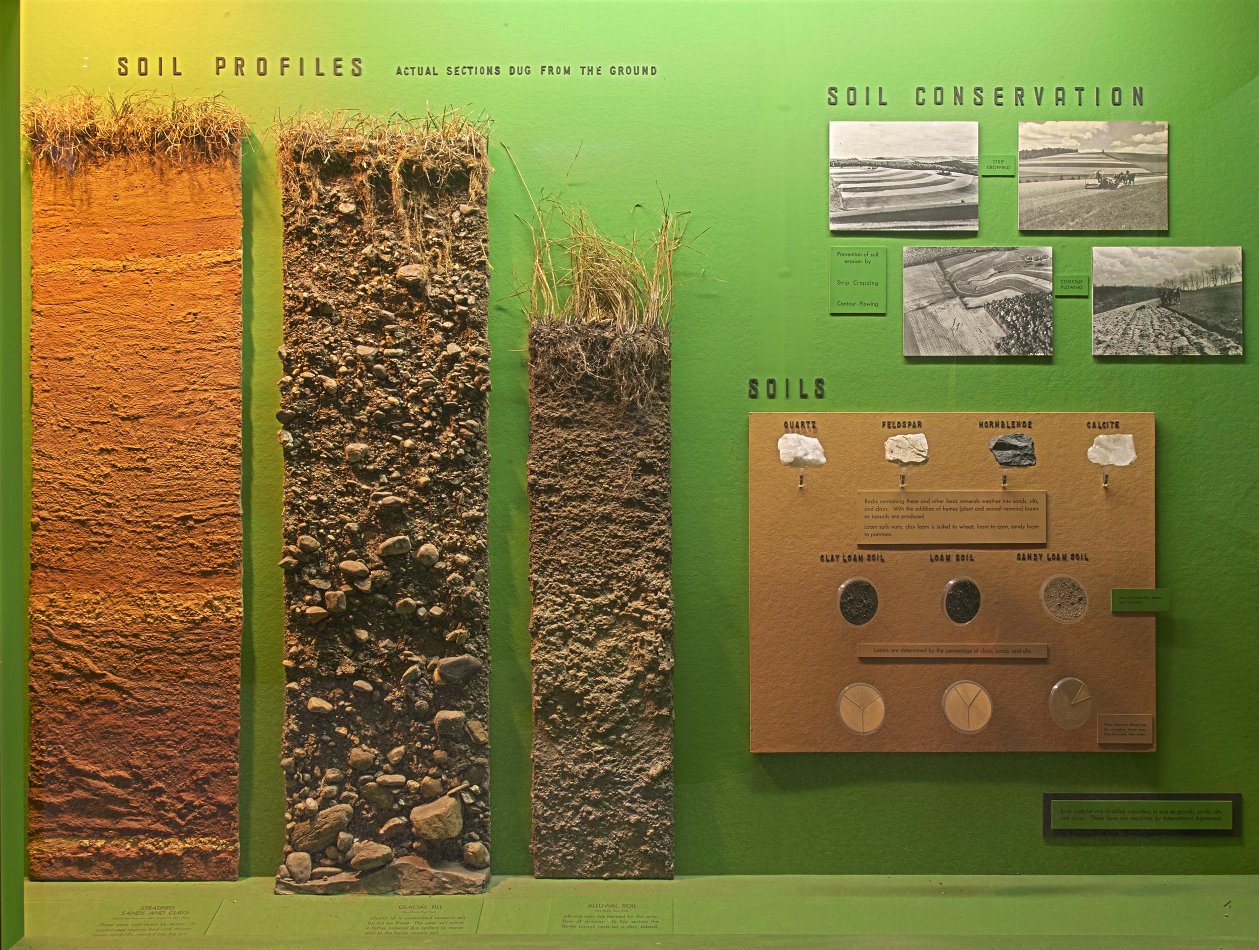 Exhibition case showing several soil profiles (actual sections dug from the soil), pictures about soil conservation and samples of soil.