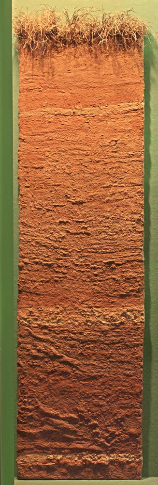 Soil profile of stratified sand clay