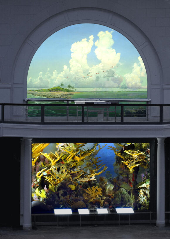 The upper level of the Andros Coral Reef diorama depicts the sky and water, and the lower level depicts the corals beneath the water.