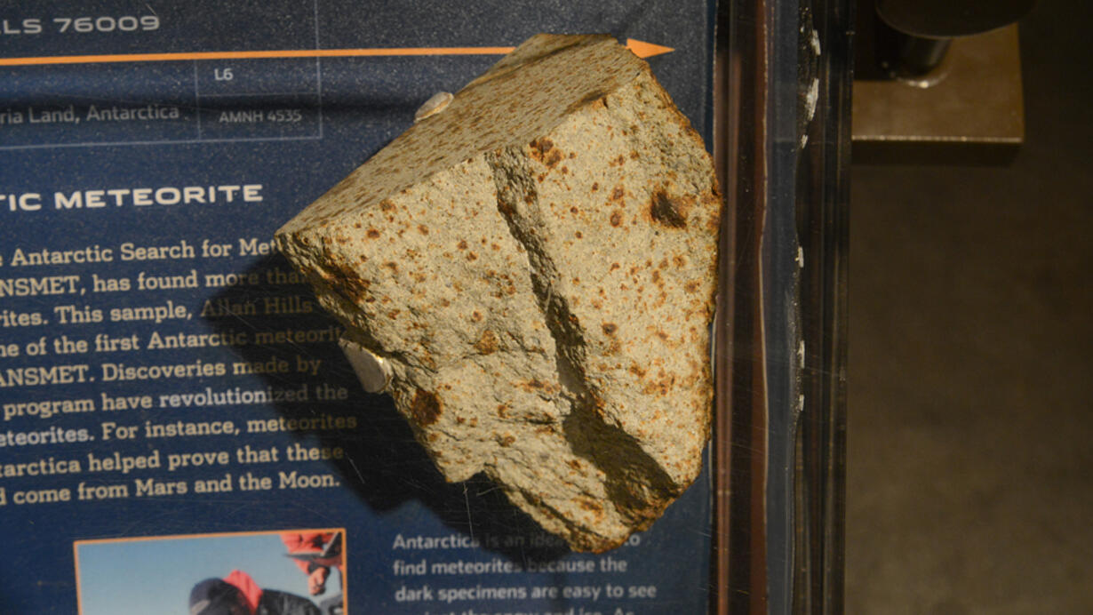 A.4.6. Allan Hills 76009. Antarctic meteorite hero
