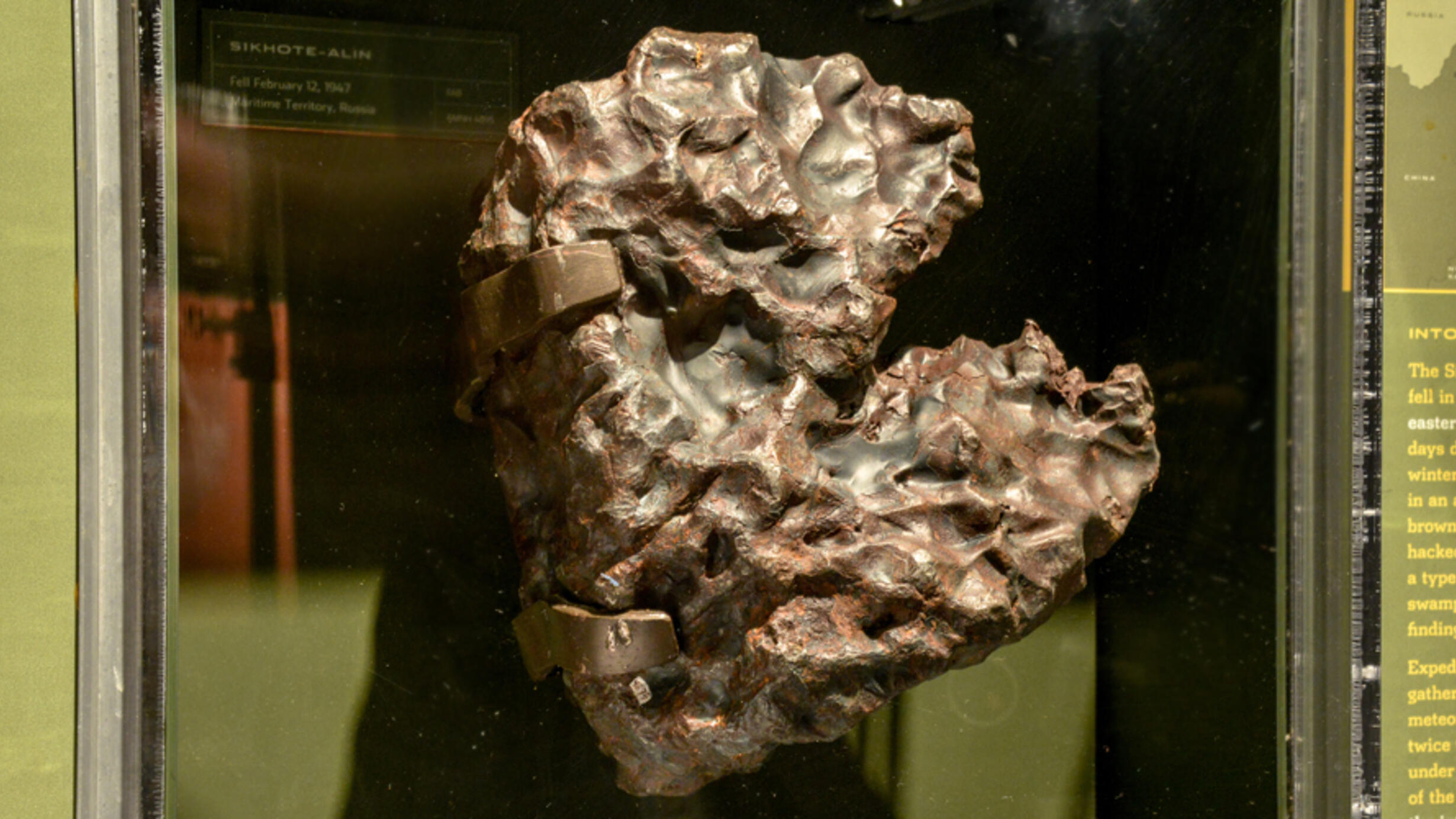 Mounted in the Museum’s Hall of Meteorites, the Sikhote-Alin meteorite which fell in Russia in 1947. It has a bumpy pitted surface.