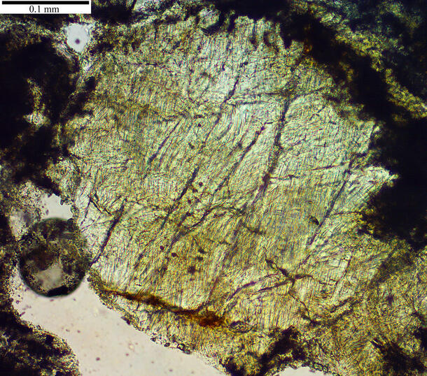 Microscopic image of a quartz grain showing criss-crossing  lines