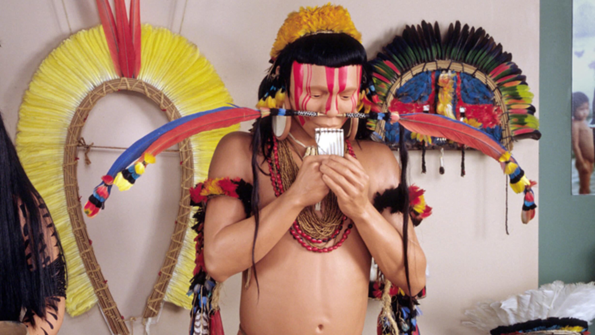 A model of a human adorned with face paint of vertical red stripes, a horizontal nose piercing through the septum with a thin rod with long colorful feathers at each end, many strings of beaded necklaces around the neck and feather arm bands.