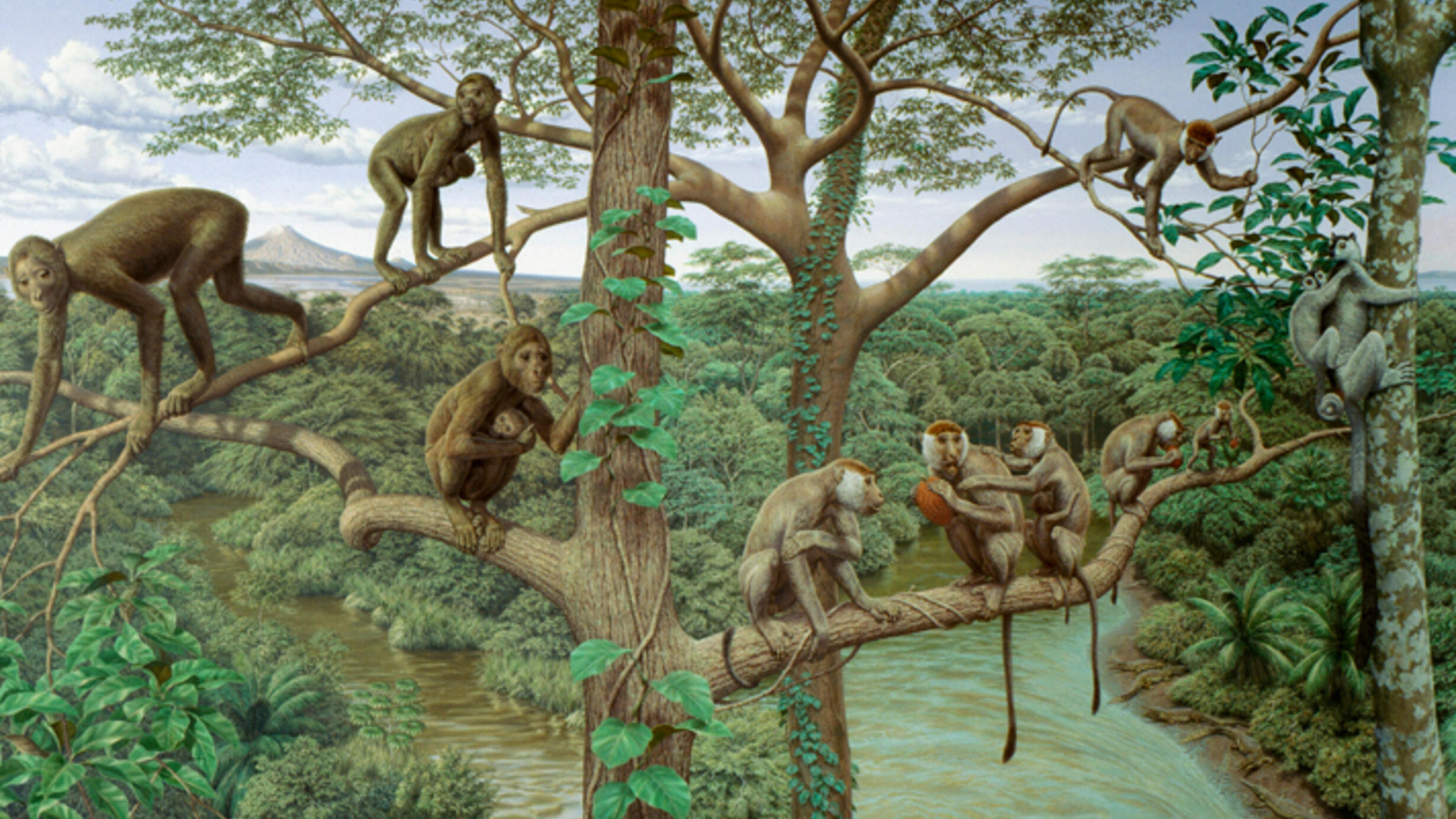 A painting of several species of primates, some with long tails, some with none, some holding young, on the branches of tall trees above a river.