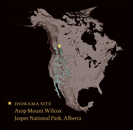 A map of North America with a star marking the location in Alberta, Canada, of Jasper National Park. This is site of the Museum’s Big Horn Sheep diorama atop Mount Wilcox.