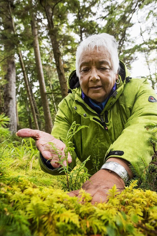 Barbara Wilson, wearing a rain jacket, leans over to examine a plant in a forest.