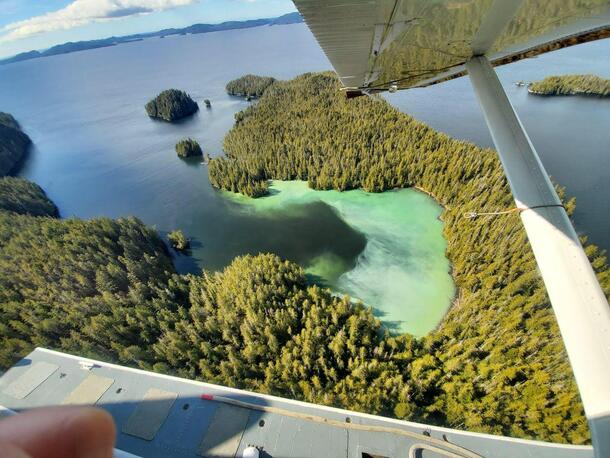 View from a plane of water and trees.