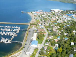 Aerial view of seaside town with many boats docked on harbor, buildings and greenery.