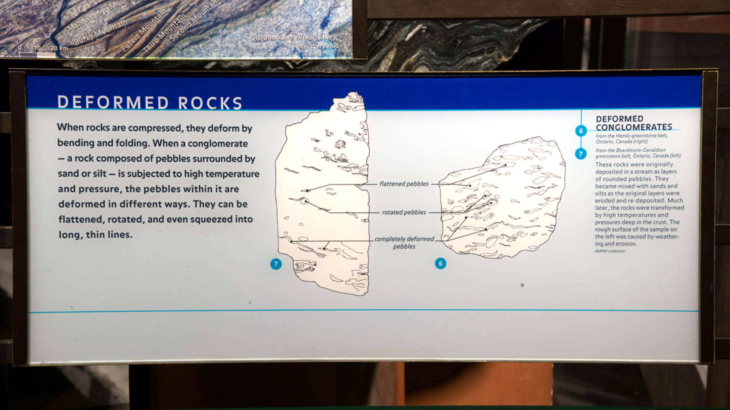 In the Museum’s Hall of Planet Earth, an exhibition sign with text and a graphic that describes how conglomerate rock is deformed.