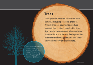 Slide titled "Trees" with text over image of tree round about trees providing detailed records of local climate.
