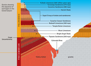 Cross-Section of Canyon Layers_ILL