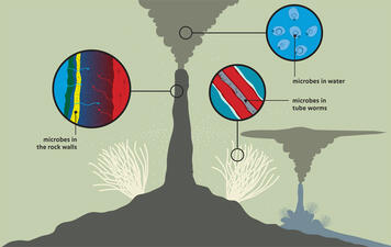 Microbes around vents_ILL