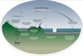 The Carbon Cycle_ILL