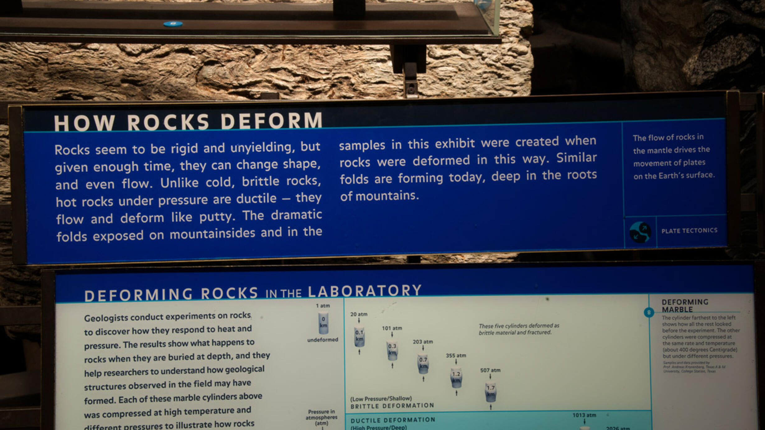 In the Museum's Hall of Planet Earth, a specimen and an explanation panel about how rocks deform under heat and pressure.