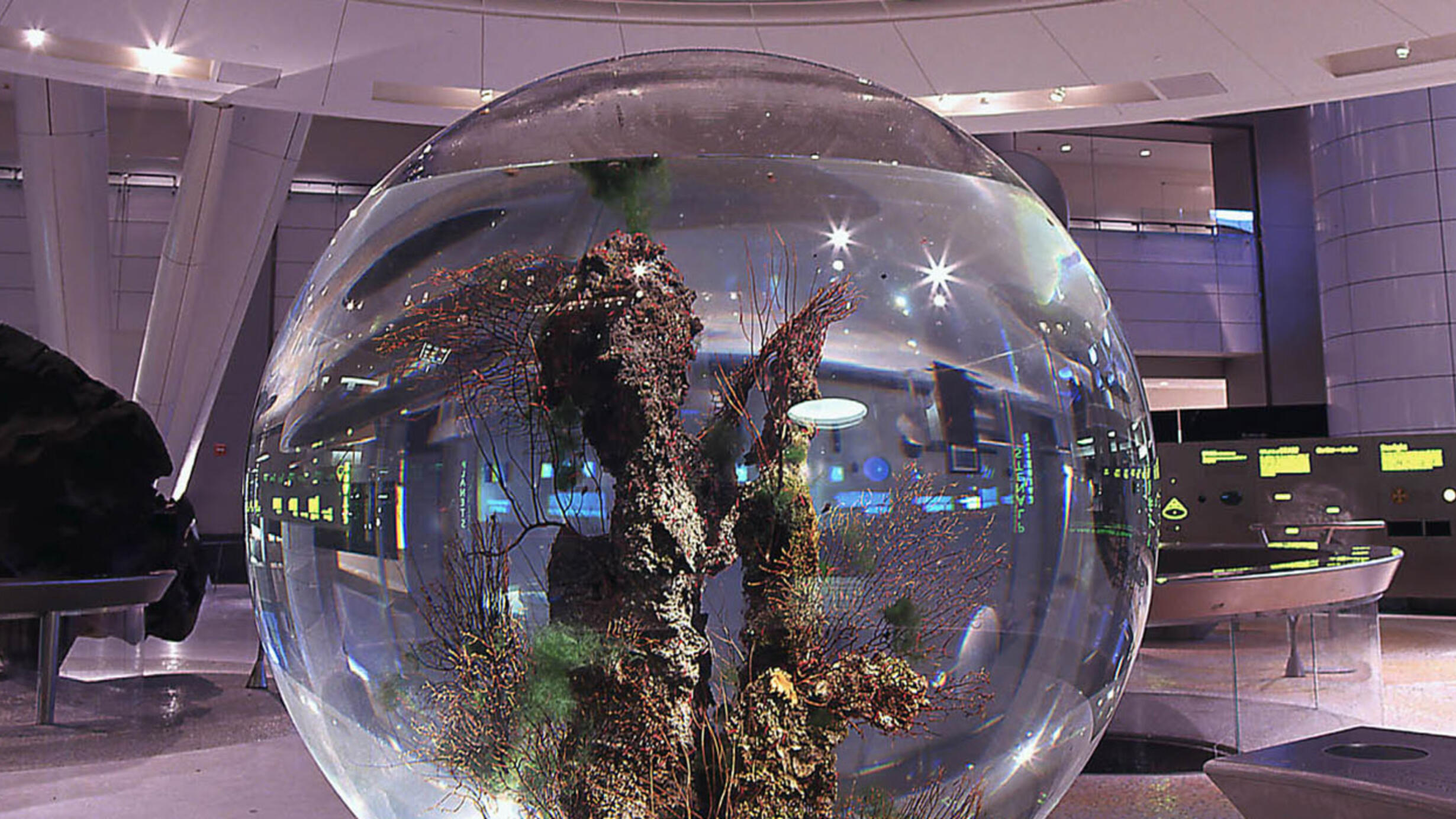 Large sealed glass sphere contains a complete ecosystem of plants and animals, which recycle nutrients and obtain energy from sunlight. 