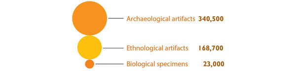 Archaeological artifacts: 340,500; Ethnological artifacts: 168,700; Biological specimens: 23,000. 