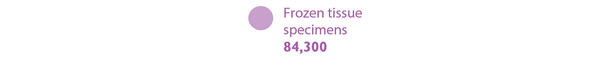 Infographic reading Frozen tissue specimens: 84,300