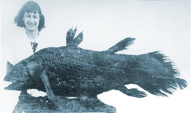 Woman stands behind large coelacanth fish specimen. 