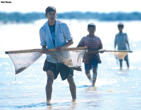 Three people with fishing nets standing in shallow water along a river.