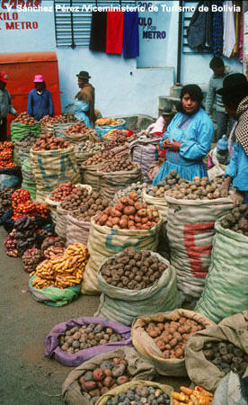 A market with many bags of different kinds of potatoes