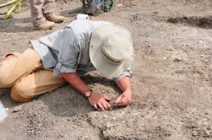 Researcher lies on the ground to excavate fossil.