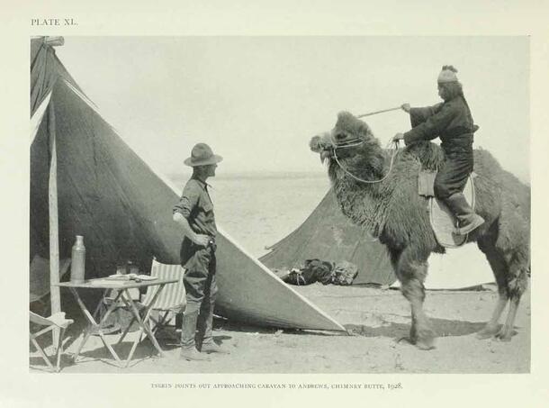 Dated 1928, Chimney Butte. A Mongolian man, Tserin, on a camel pointing out something in the distance to a man in a hat, Roy Chapman Andrews standing by a tent on a dry flat landscape.