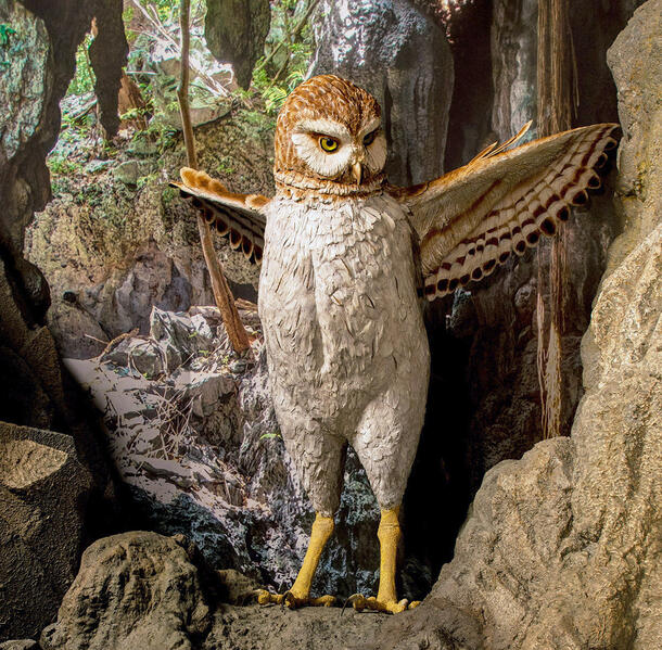 Giant owl model stands with wings spread, displayed in a realistically rendered cave environment.